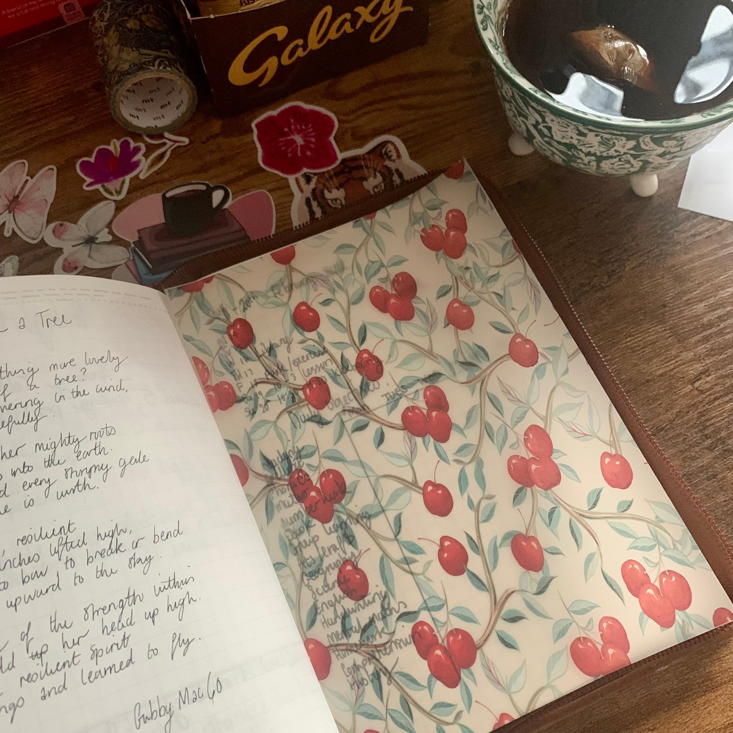 Red Fruit Print - Vellum Planner Dashboard - Bon Appétit