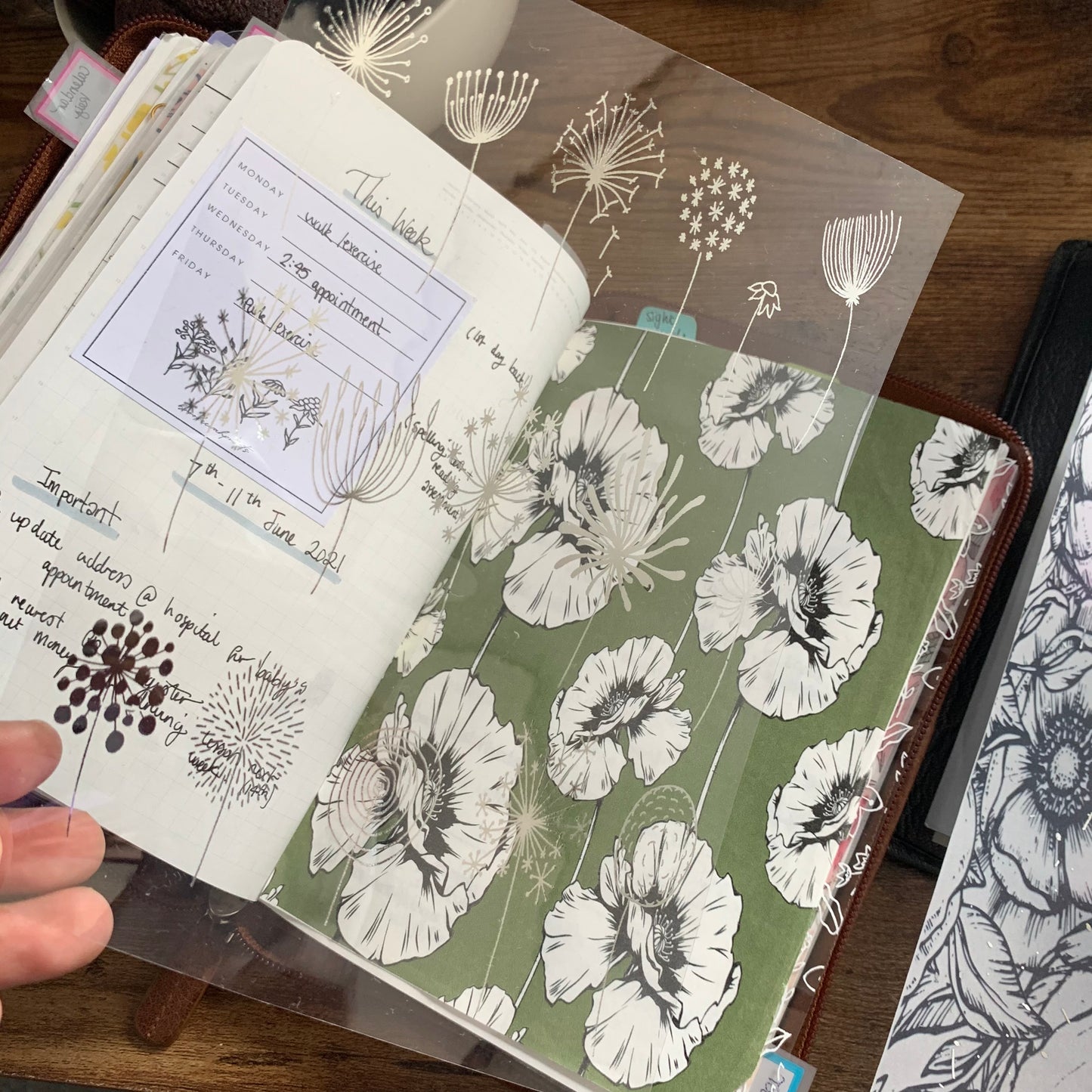 Printed Vellum X Acetate Planner Dashboard - Dandelion