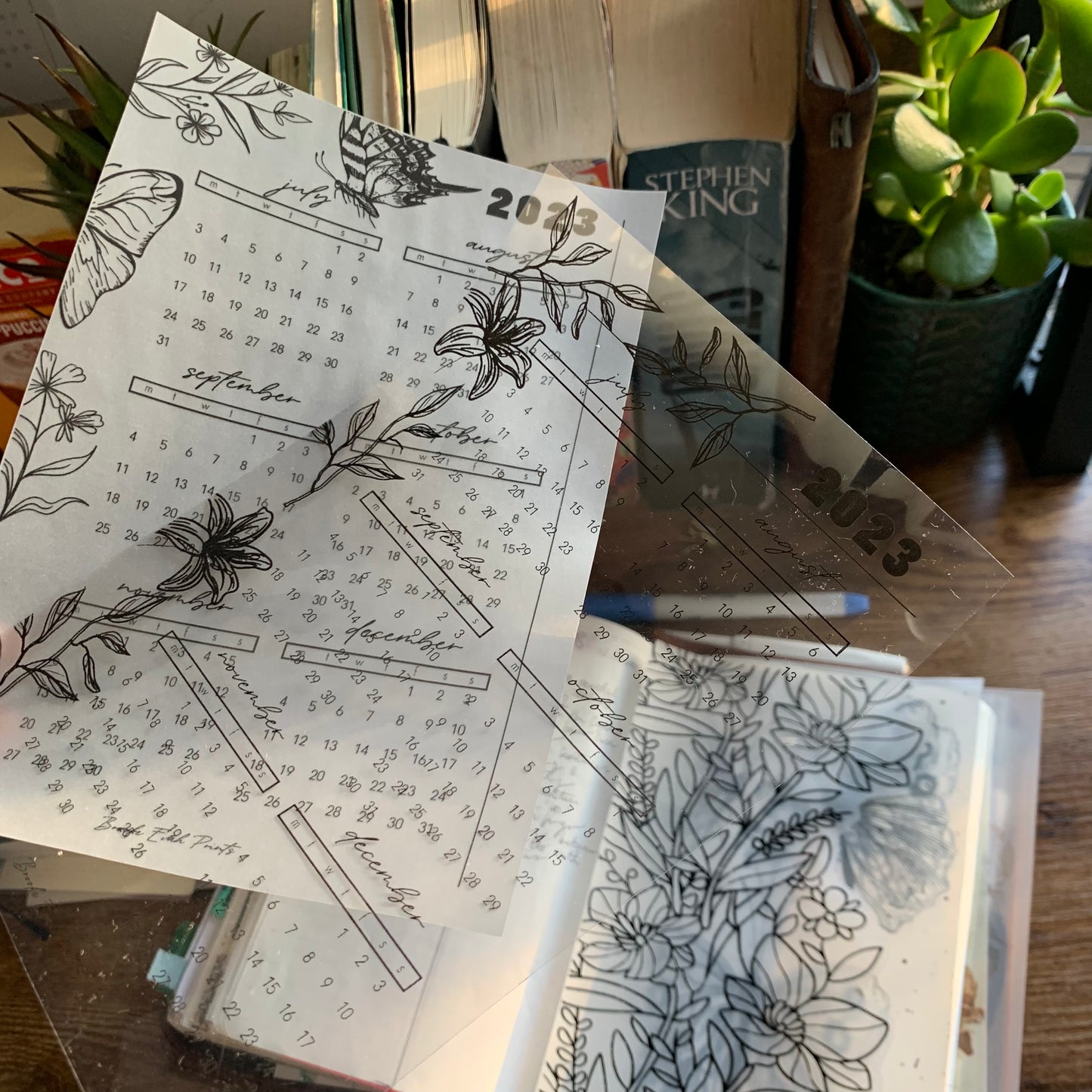 Printed Vellum X Acetate Planner Dashboards - 2023 July - December Calendar -Peekaboo Butterfly