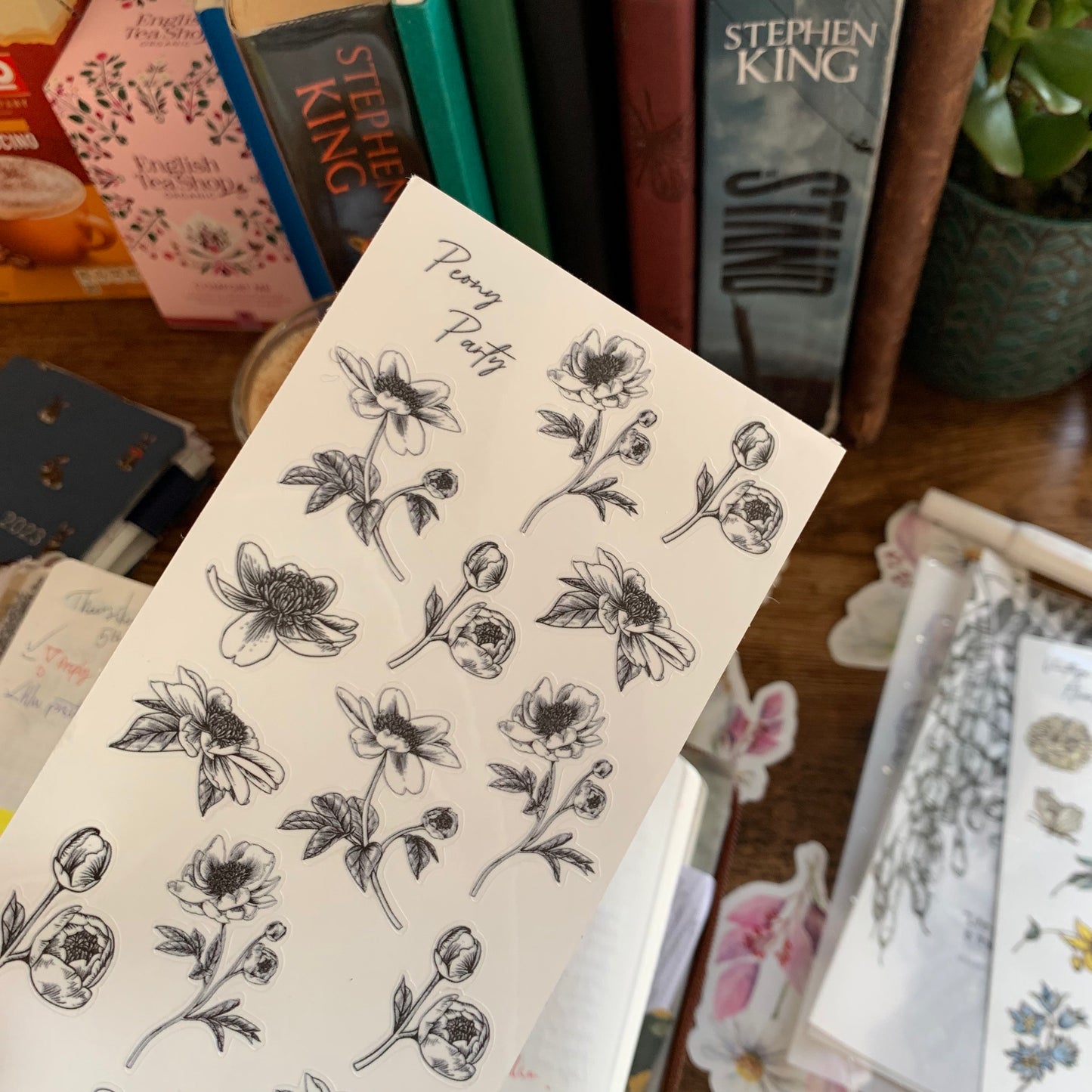 Hand Sketched Peony Minimal Floral Clear Stickers - Peony Party 💖