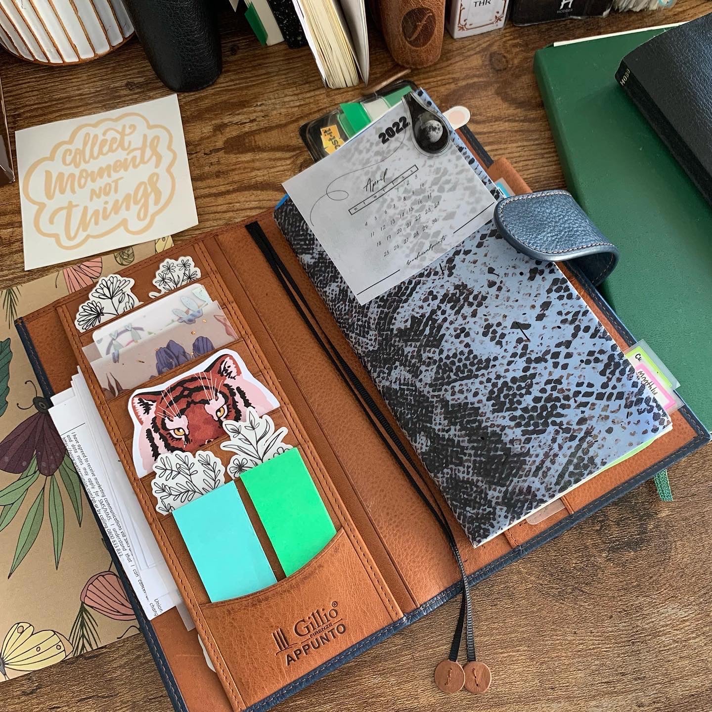 Snake Skin - Vellum Planner Dashboard - Black Foil