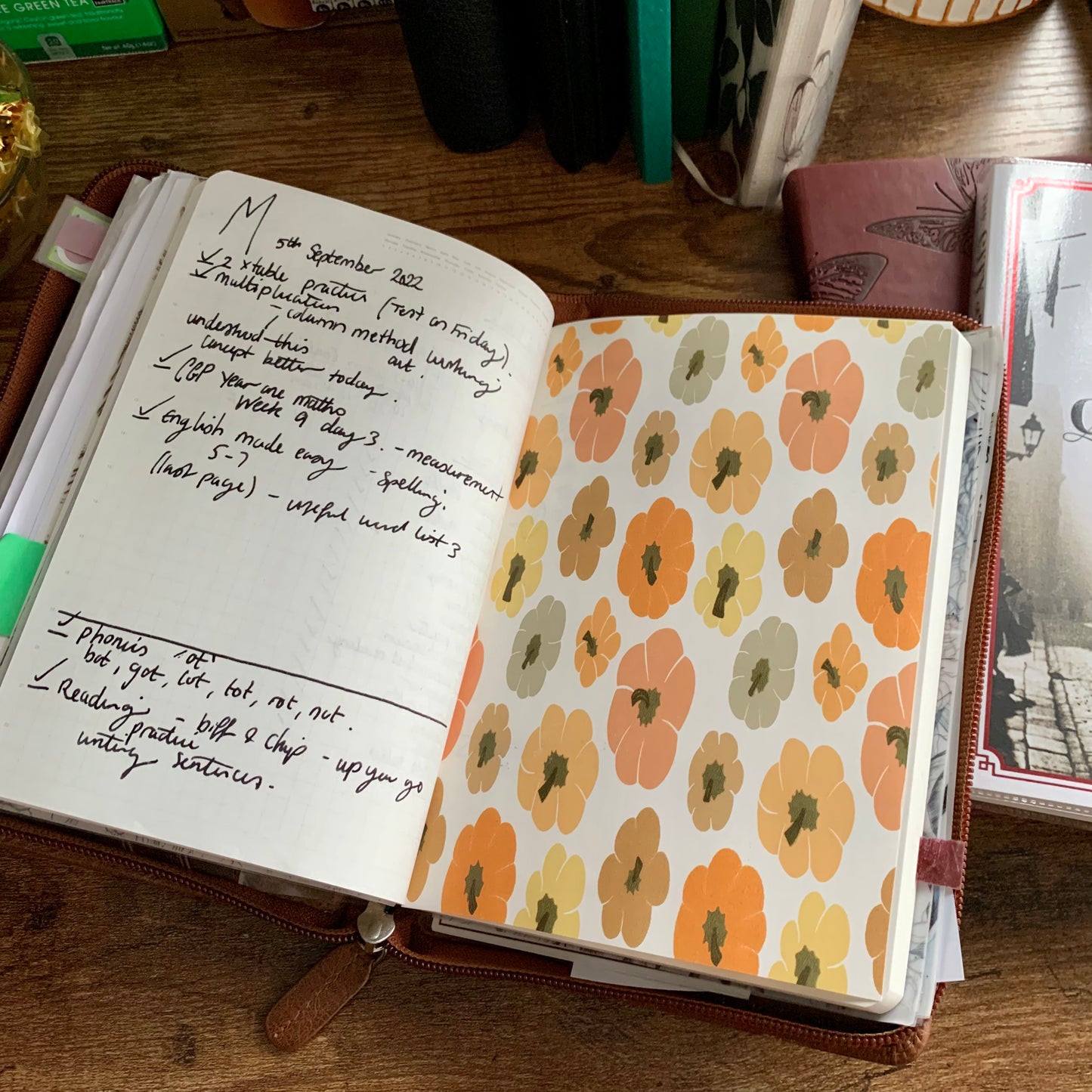 Orange & Brown Pumpkin - Tomoe River - Planner Dashboard - Cute Pumpkins