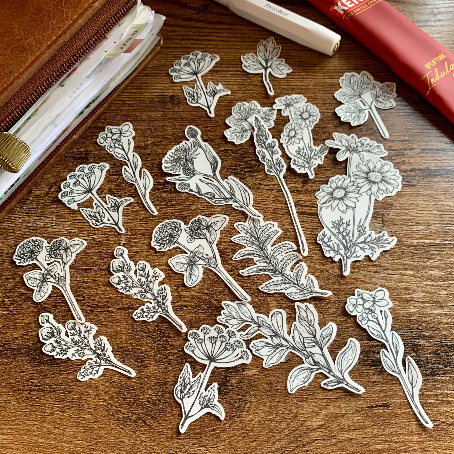 Clara -Botanical Hand Drawn Sticker Flakes - Pack of 18