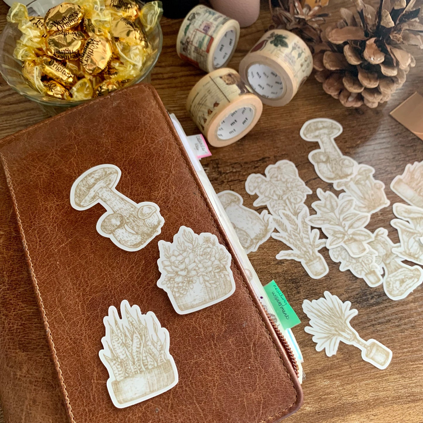 Mushroom & Plants Sticker Flakes - Pack of 16