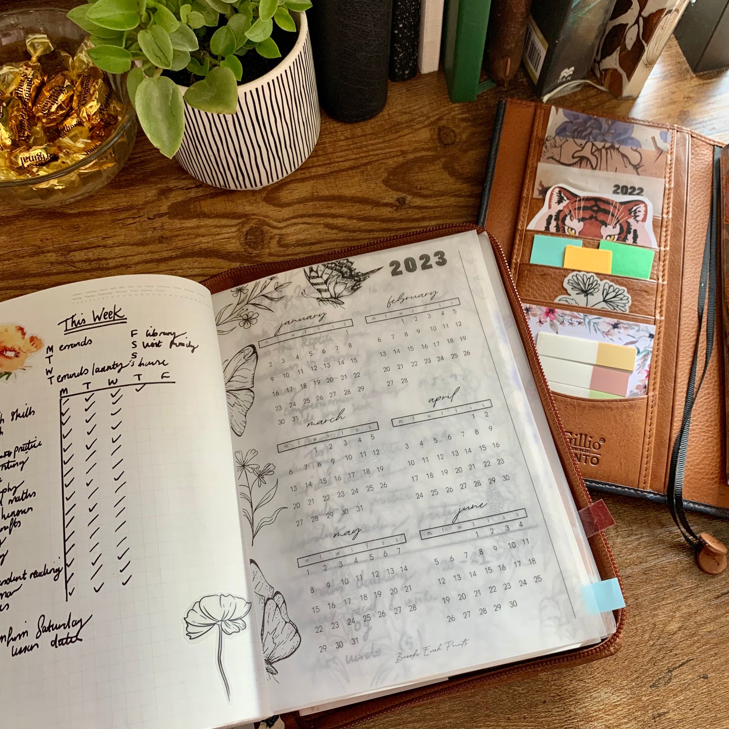 2026 Calendar - Printed Vellum X Acetate Planner Dashboards - 2026 January - June Calendar Overview -Peekaboo Butterfly