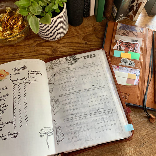 Printed Vellum X Acetate Planner Dashboards - 2023 Jan- June Calendar -Peekaboo Butterfly