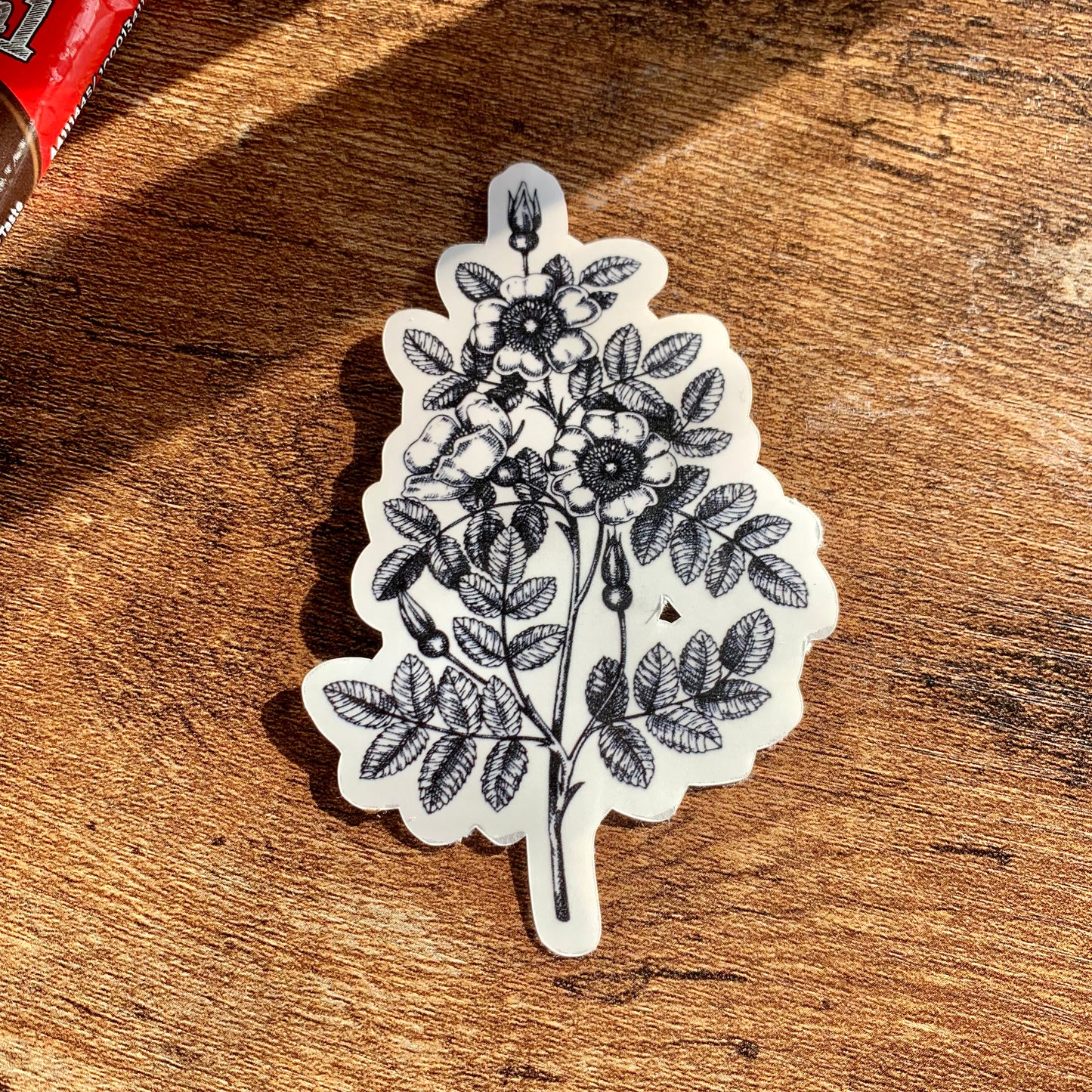 Floral Sketch Vintage Sticker Flake - Enid✨