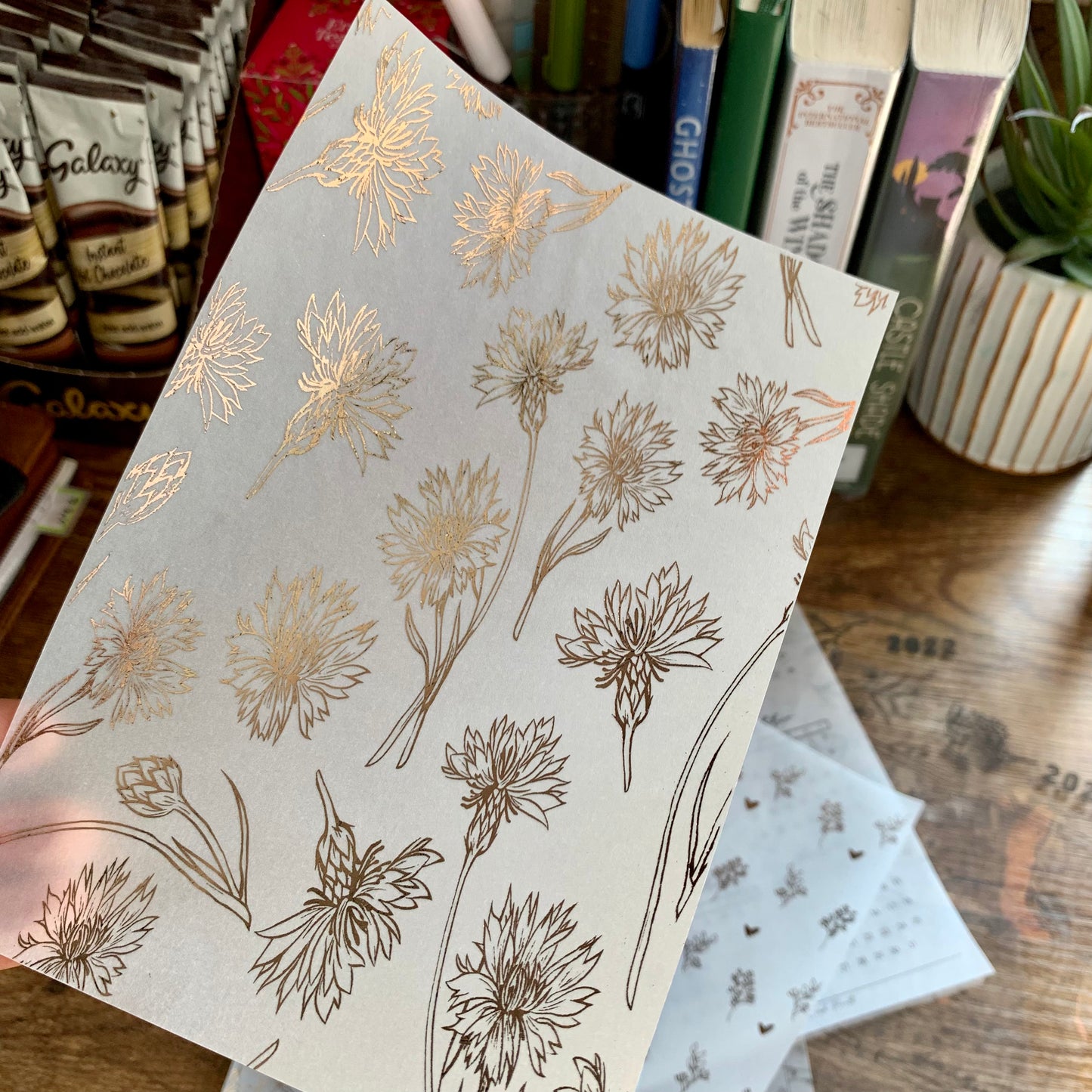 Rose Gold Mayflower Vellum X Acetate Planner Dashboard - Mayflower II