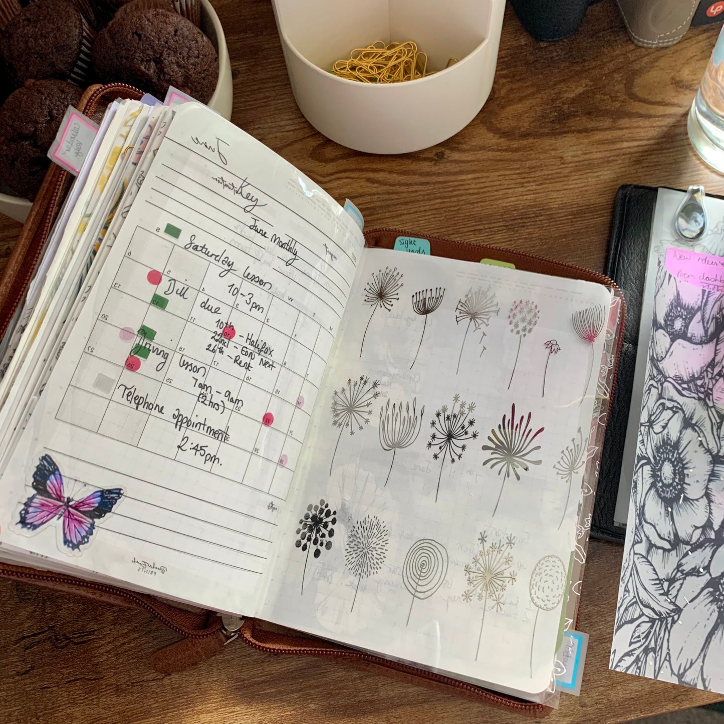 Printed Vellum X Acetate Planner Dashboard - Dandelion