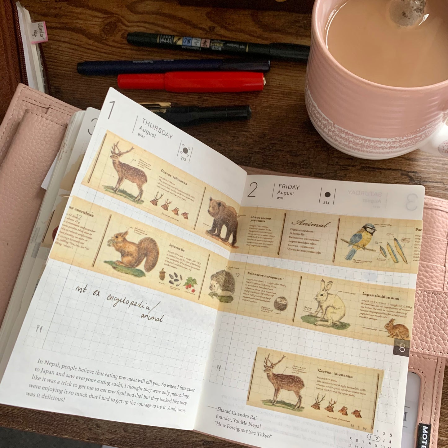 Mt Encyclopaedia Animal Washi tape