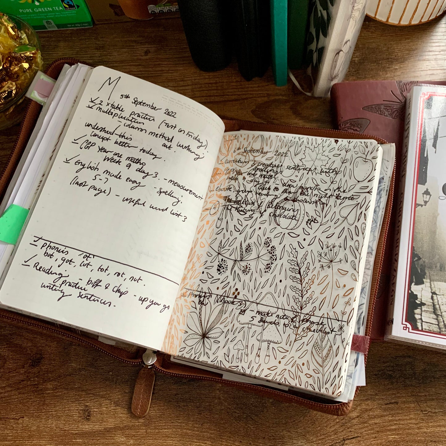 Fall Hand Drawn Doodles Vellum X Acetate Planner Dashboards - Fall Feels