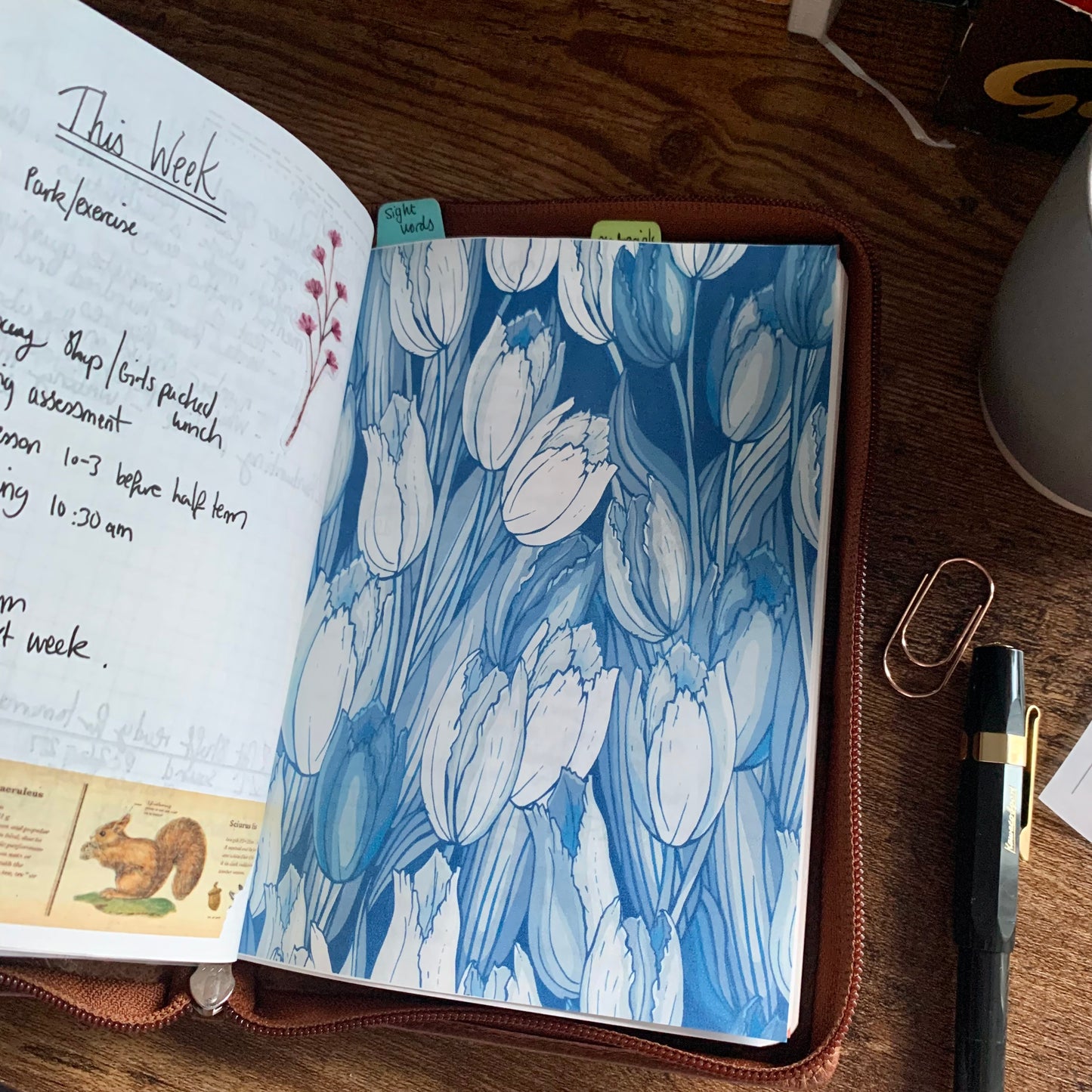 Blue Lily Planner Dashboard - Magnum Opus