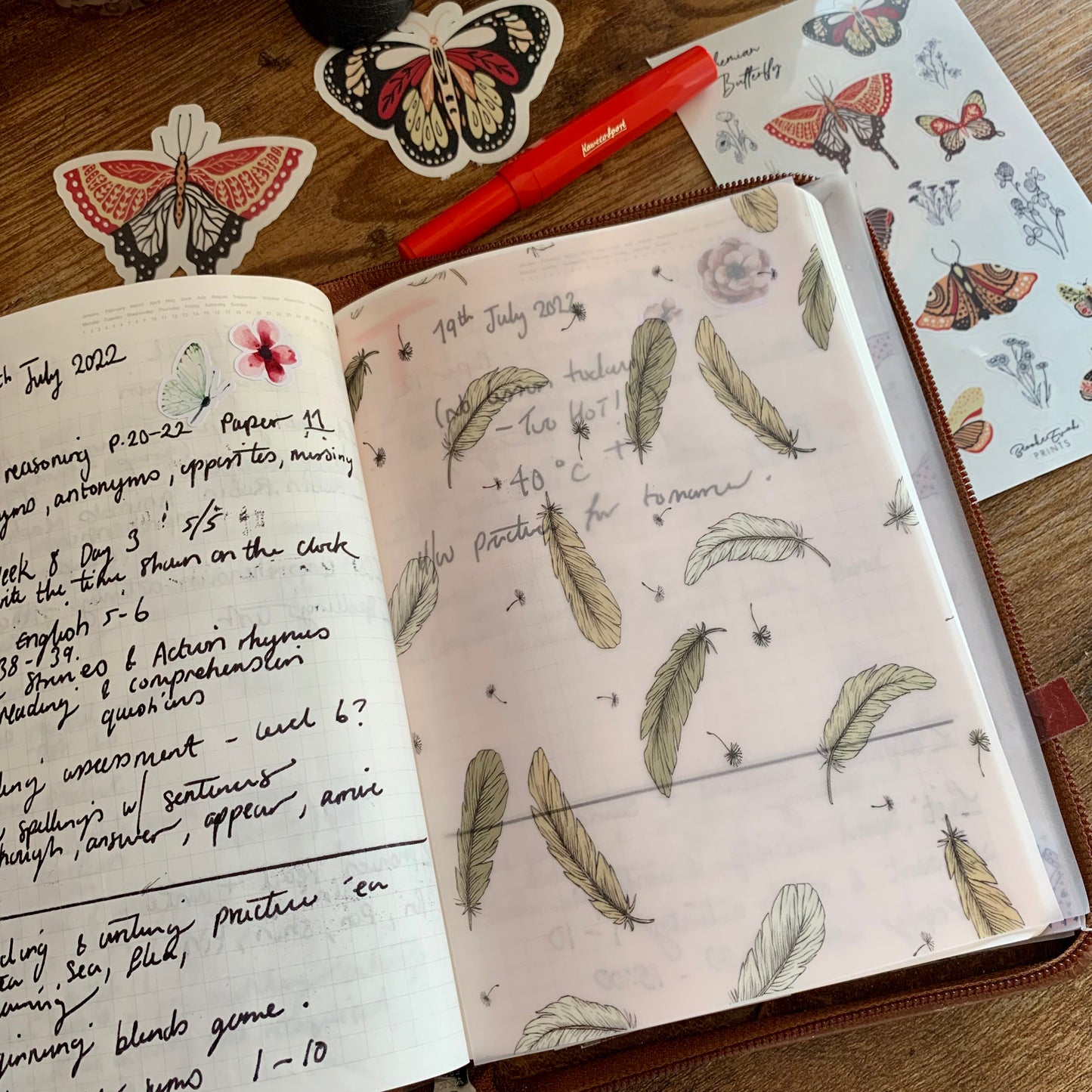 Pink & Brown Hand Drawn Feather Pattern - Vellum Planner Dashboard - Birds of a feather