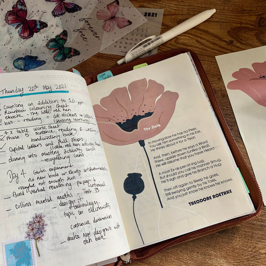 Printed Tomoe River X Vellum Planner Dashboard- The Sloth 🦥