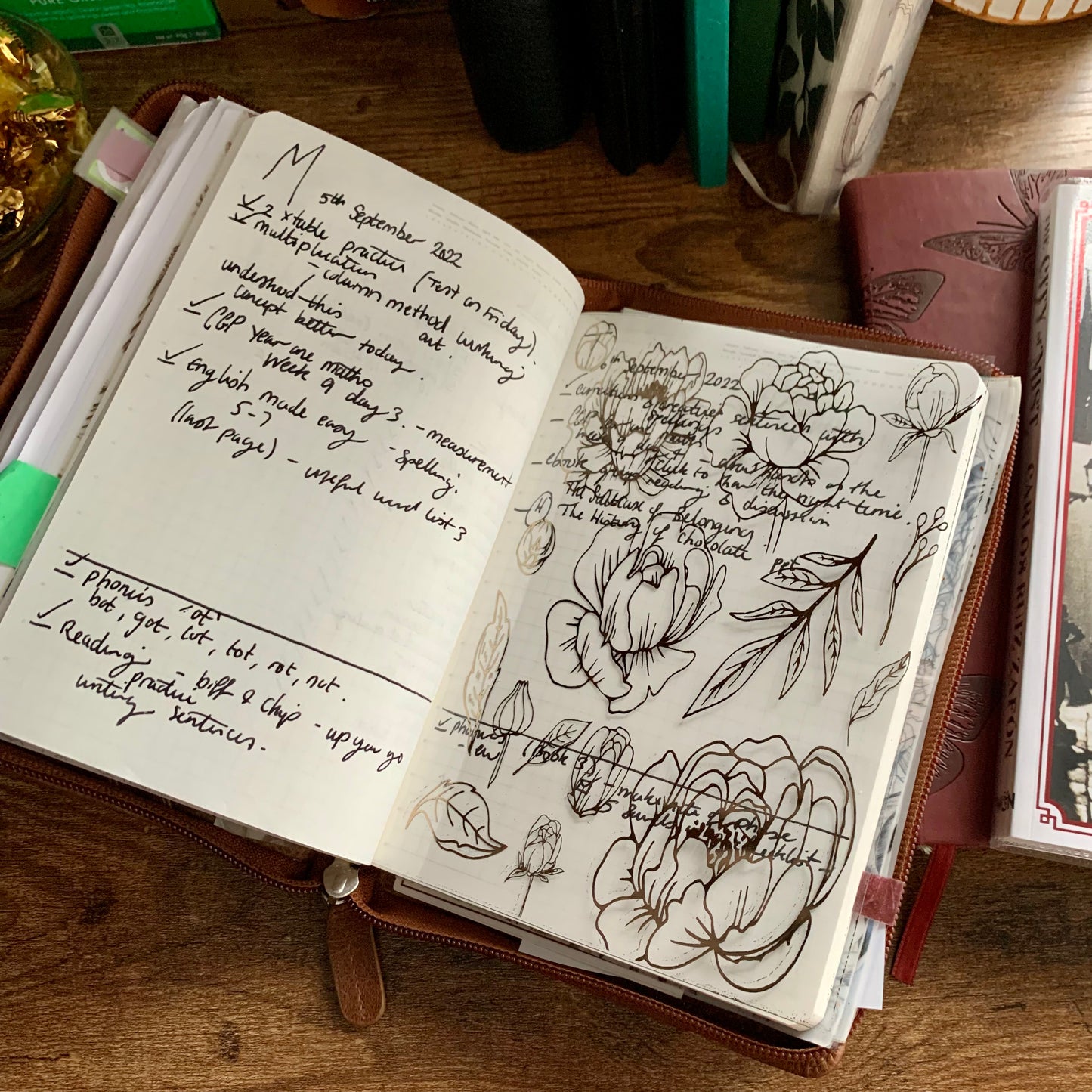 Floral Hand Drawn Peony Vellum X Acetate Planner Dashboards - Basic Peony