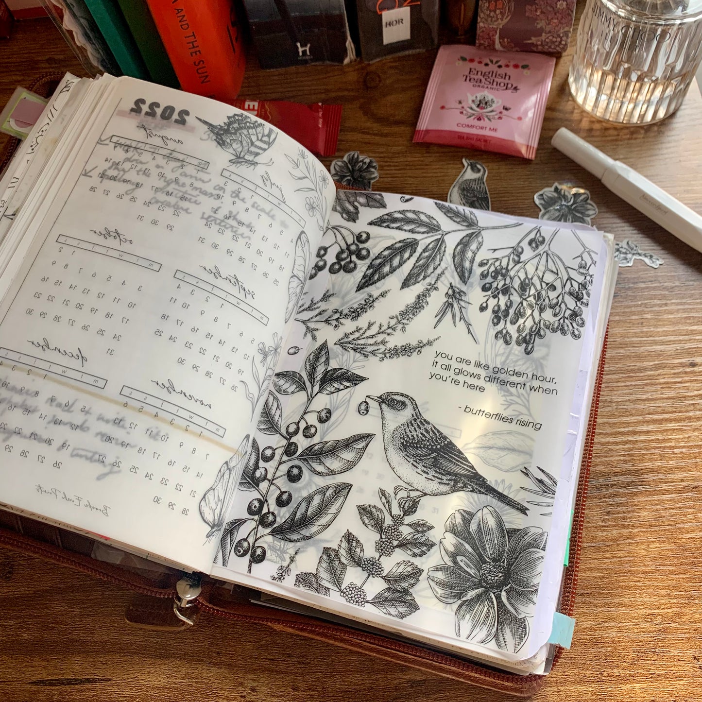 Foiled Botanical Hand Drawn Vintage Birds & Floral Vellum X Acetate Planner Dashboard - Golden Hour 🎁🖤