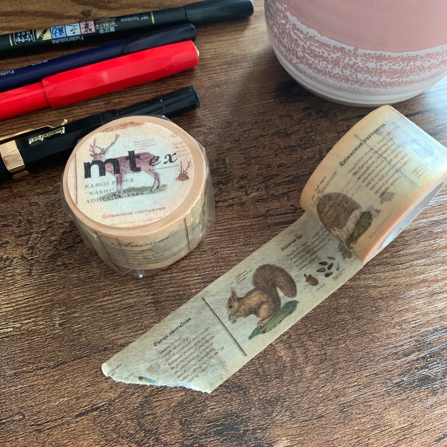 Mt Encyclopaedia Animal Washi tape