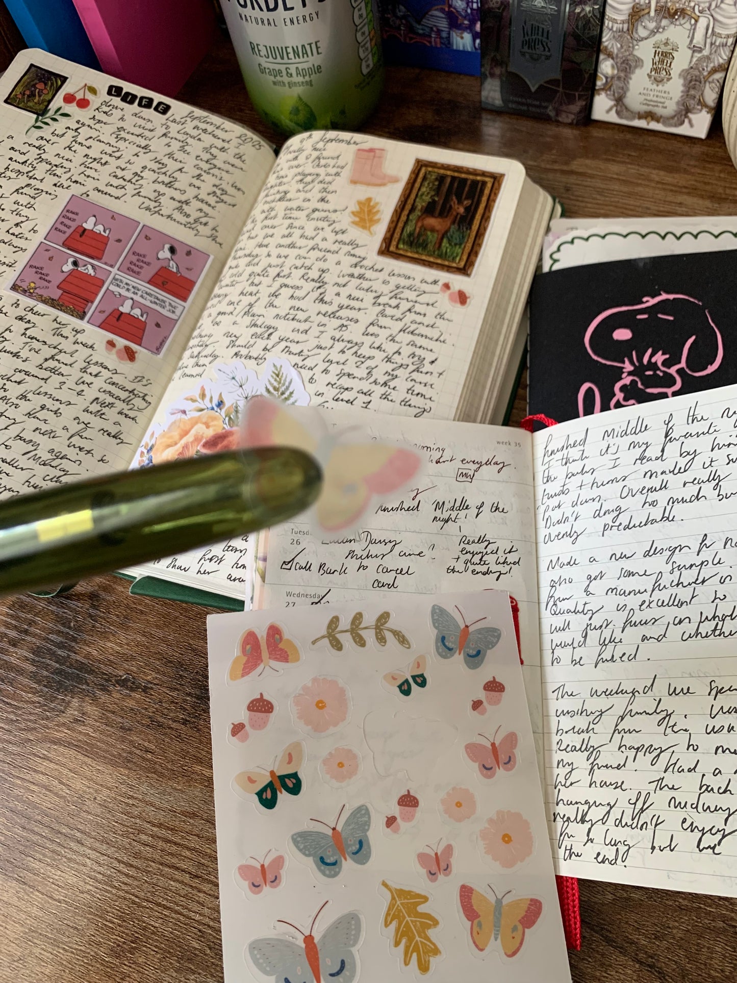Autumn Butterflies ✨ Bullet Journal Stickers • Hand drawn -  Scrapbook Clear Stickers - Fall Butterflies