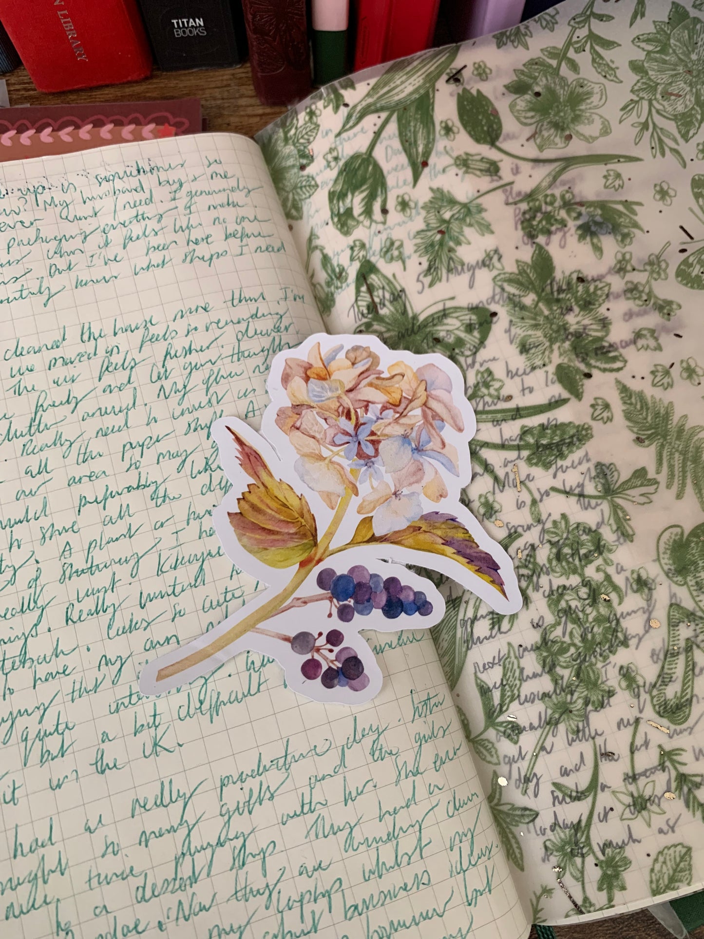 Watercolor Floral Hand Drawn Sticker Flake -Matte Sticker - Kimberly