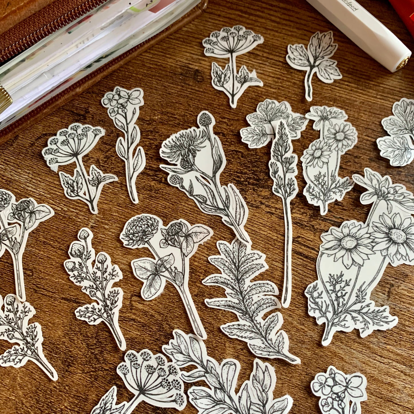 Clara -Botanical Hand Drawn Sticker Flakes - Pack of 18