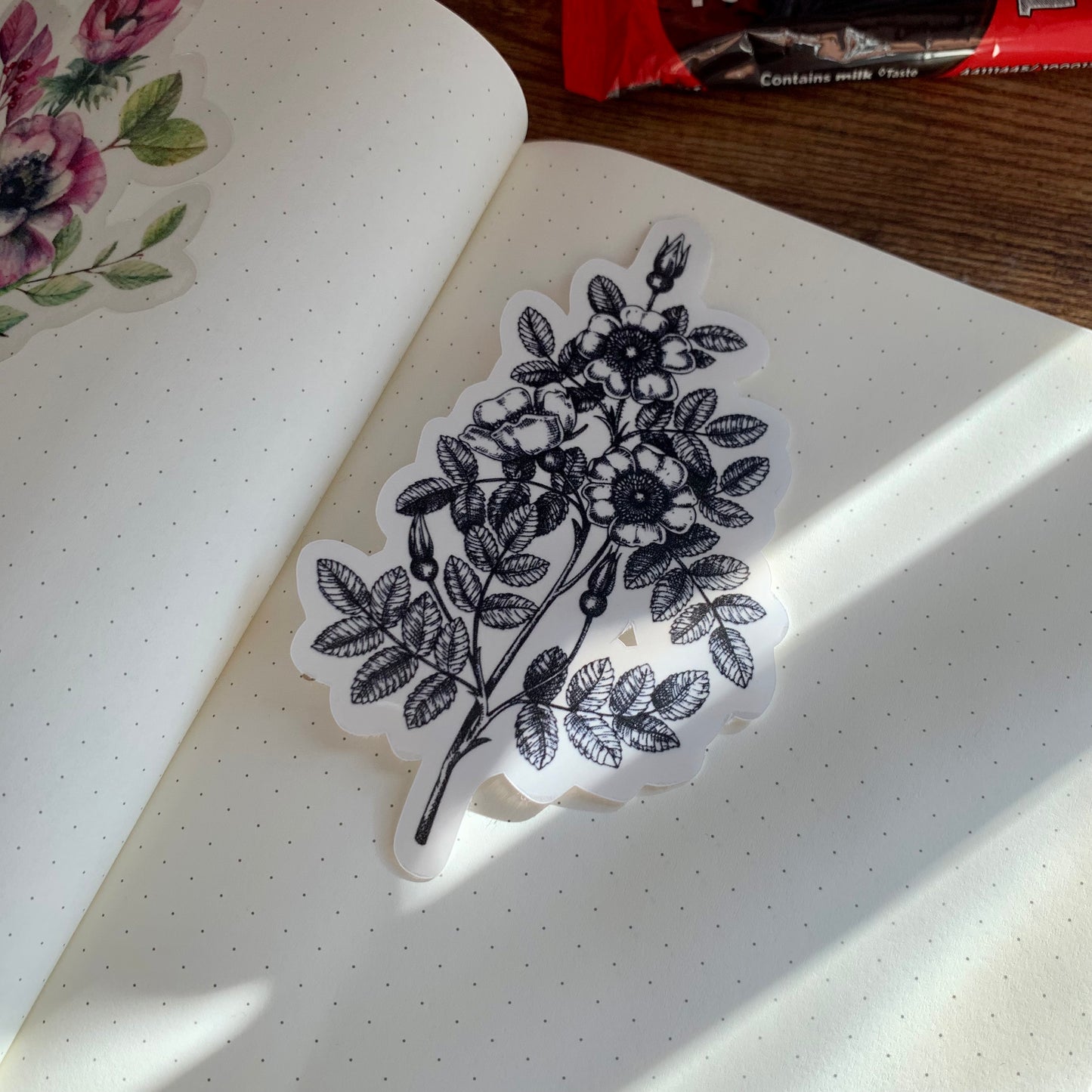 Floral Sketch Vintage Sticker Flake - Enid✨