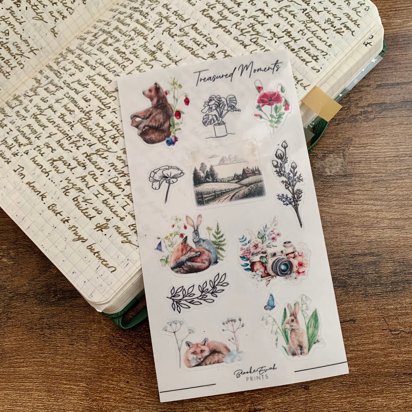 Transparent Journaling Stickers - Treasured Moments