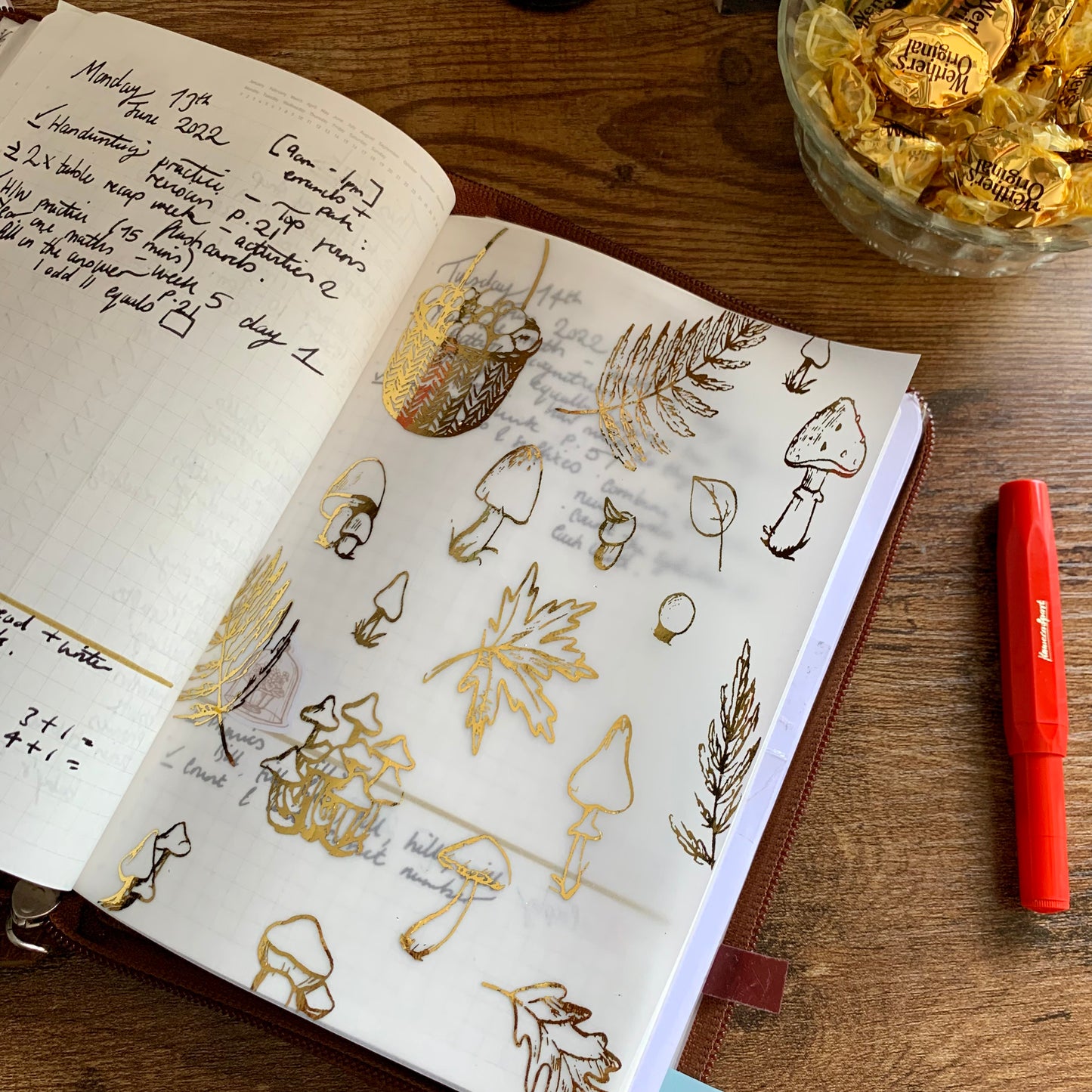Gold Foiled Fall themed Leaves & Mushrooms • Vellum X Acetate Planner Dashboards - Autumn Feels