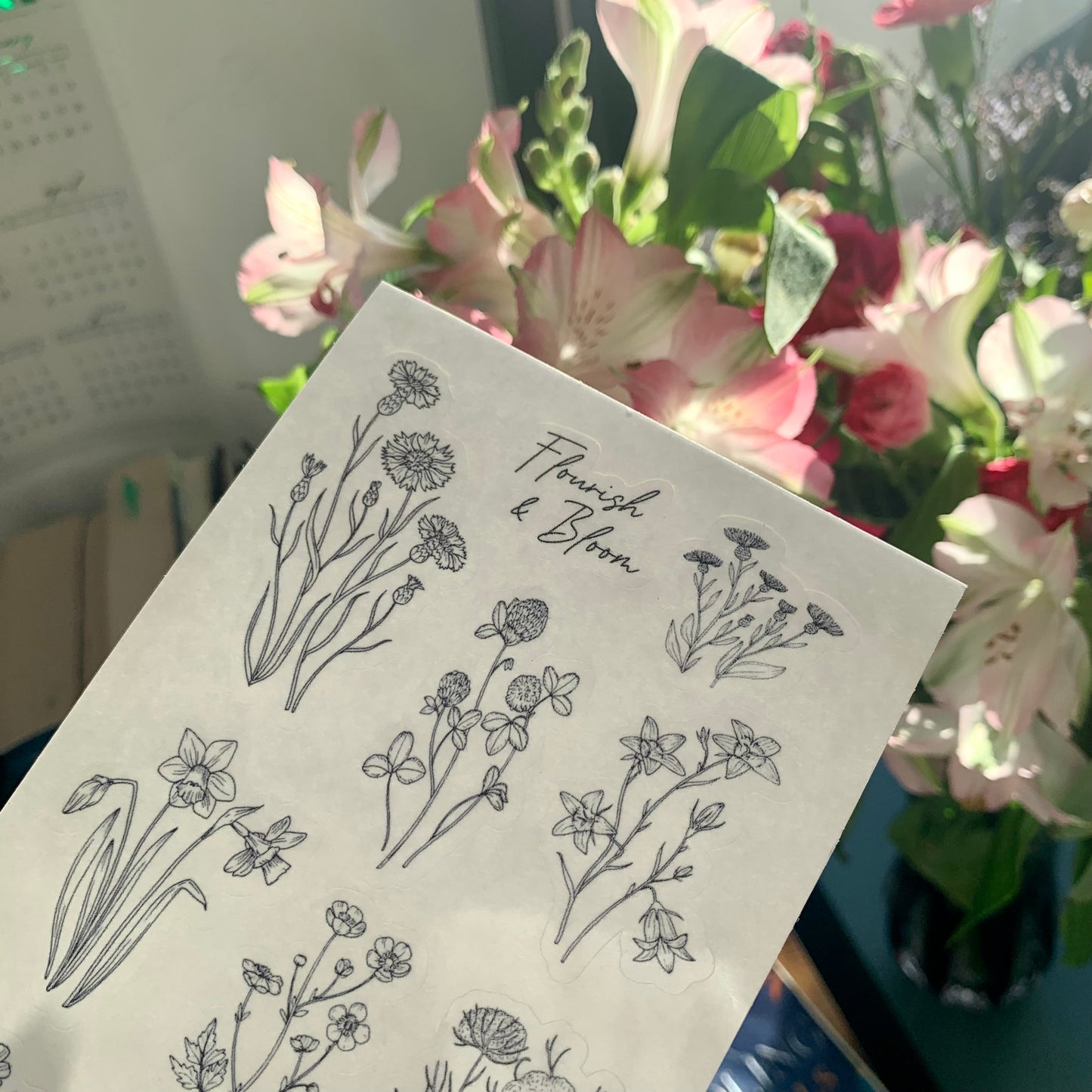 Flourish & Bloom Wildflower Sketch Stickers - Transparent Stickers
