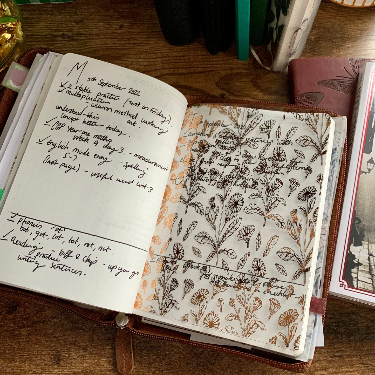 Floral Hand Drawn Calendula Vellum X Acetate Planner Dashboards - Calendula Flowers