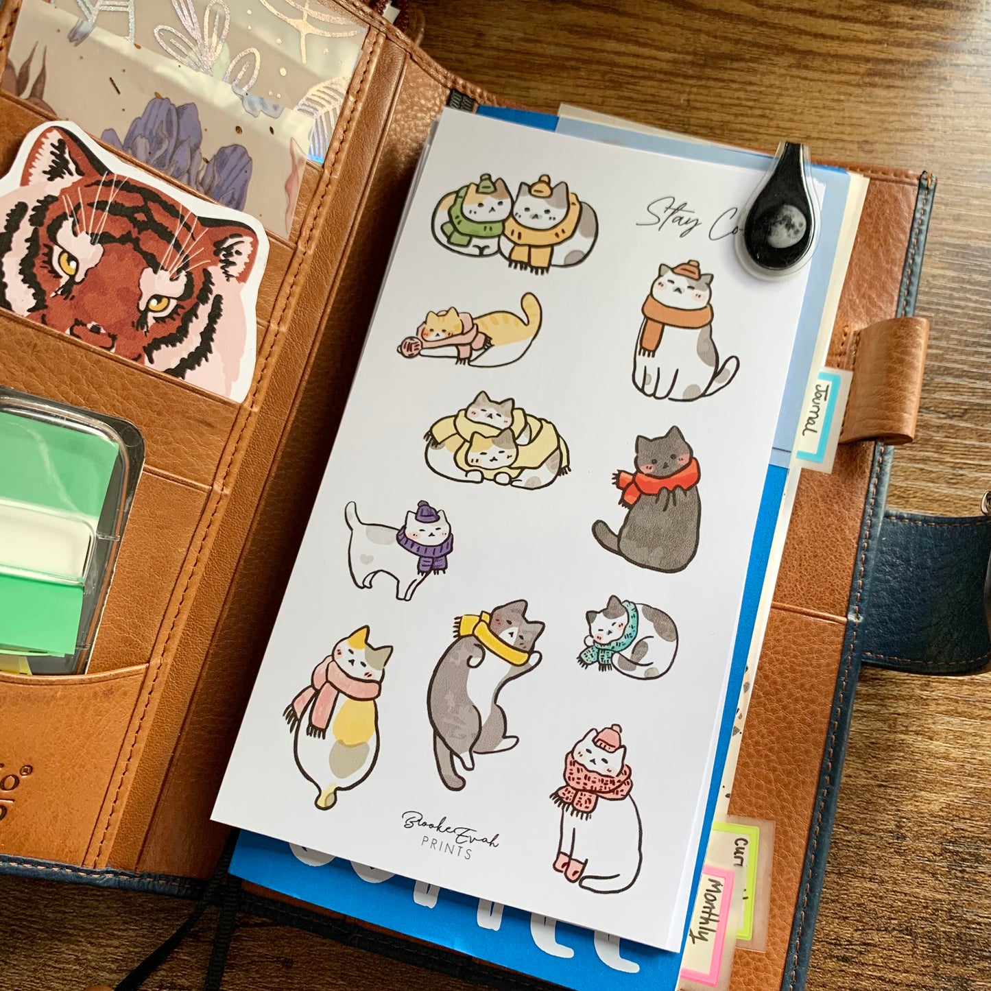 Cute Hand drawn Cat Stickers - Stay Cozy