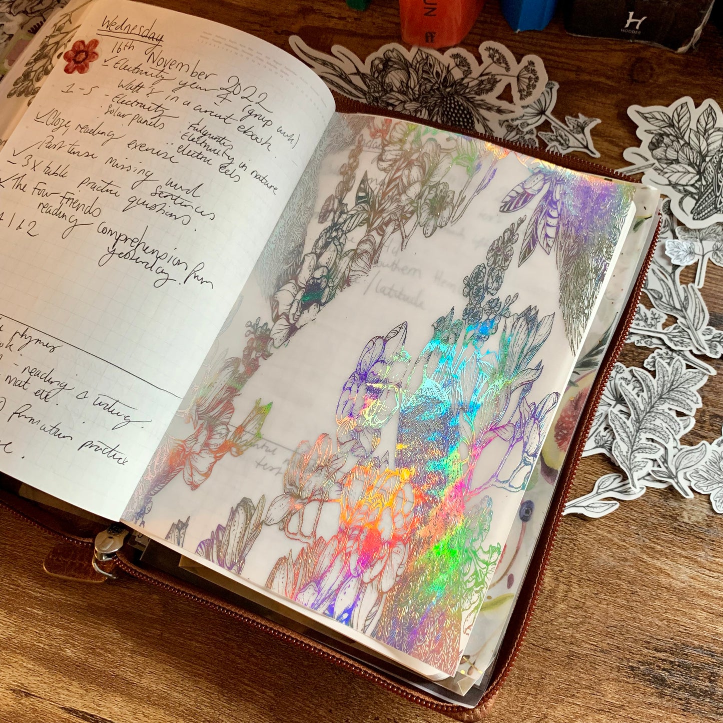 Holographic Foiled Hand Drawn Peacock & Floral Vellum X Acetate Planner Dashboard - Queenie’s Kingdom