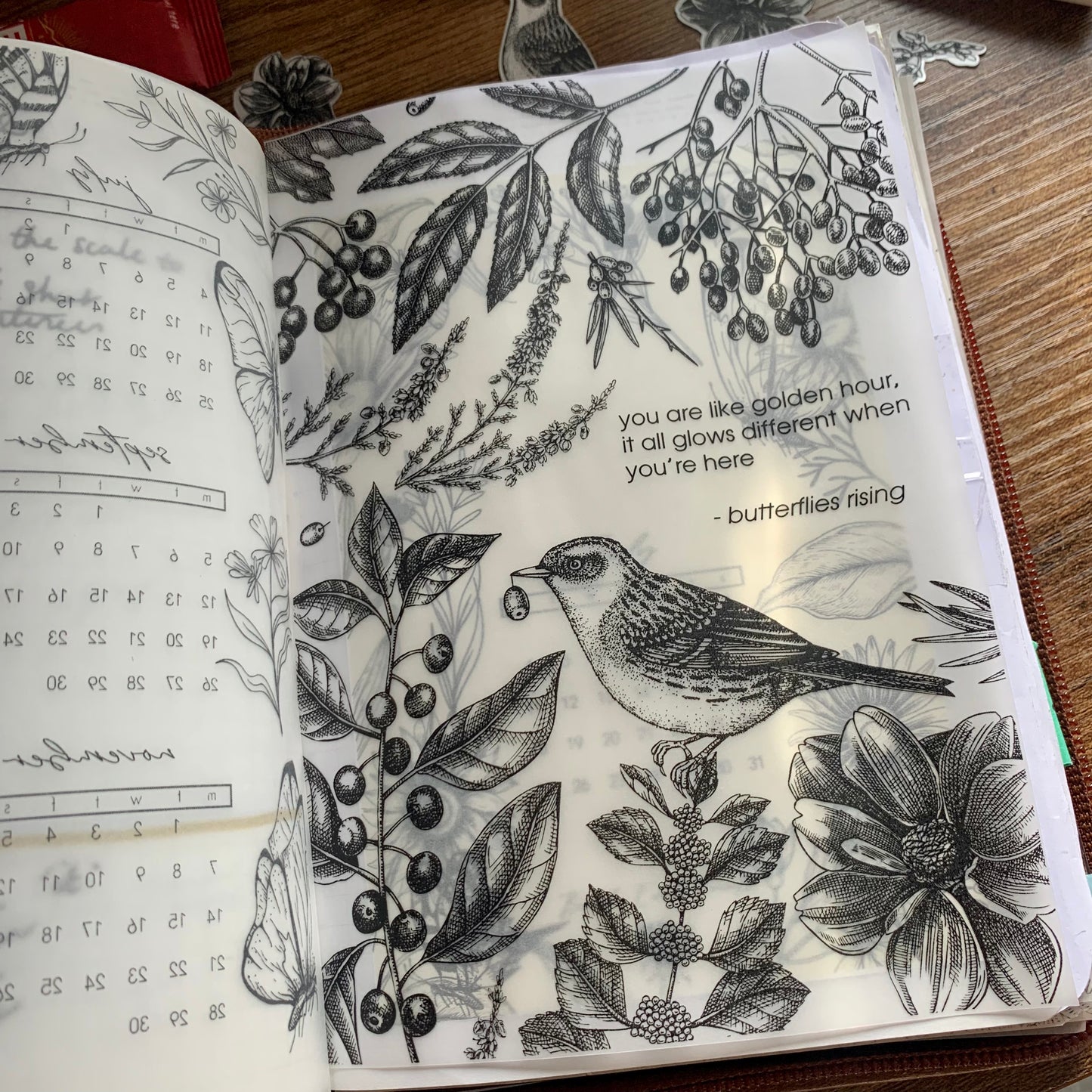 Foiled Botanical Hand Drawn Vintage Birds & Floral Vellum X Acetate Planner Dashboard - Golden Hour 🎁🖤