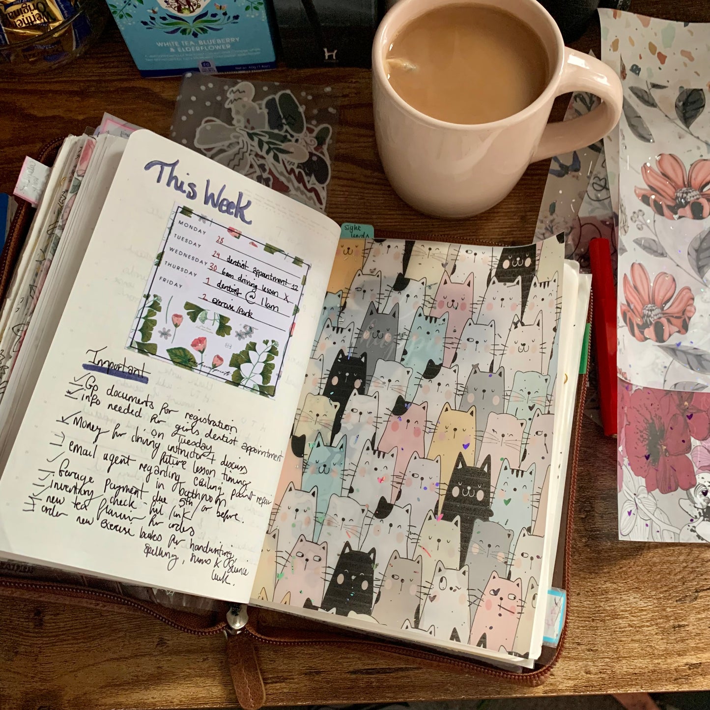 Foiled Pastel Cats Vellum Planner Dashboard- Kat & the Gang