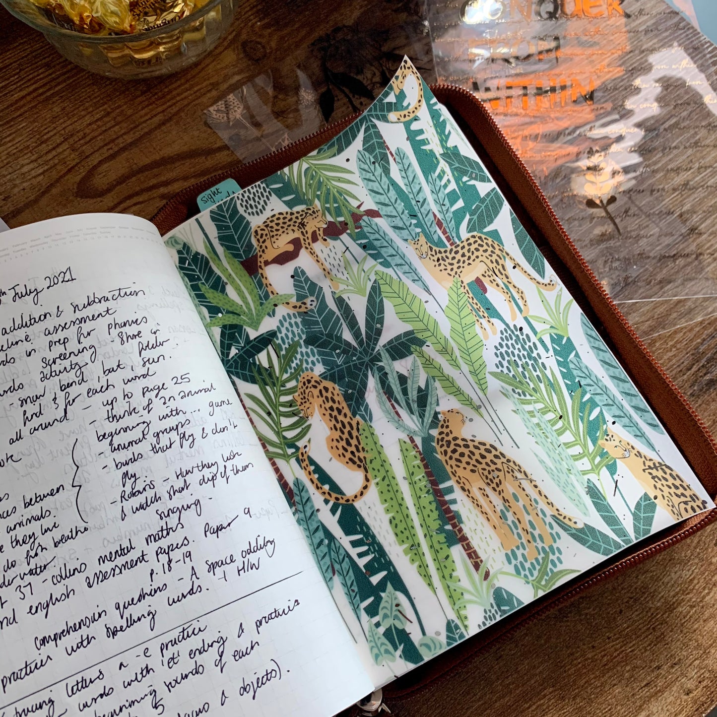 Printed Vellum Planner Dashboards - Jungle Vibes 🐆
