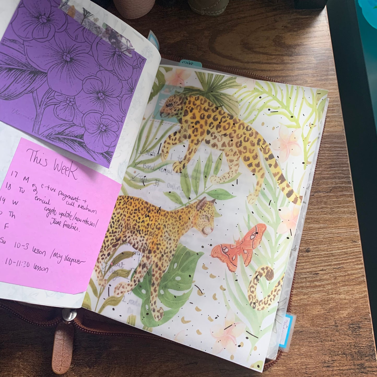 Vellum Watercolour Leopard Jungle Themed Rose Gold Foiled Dashboard- 🐆