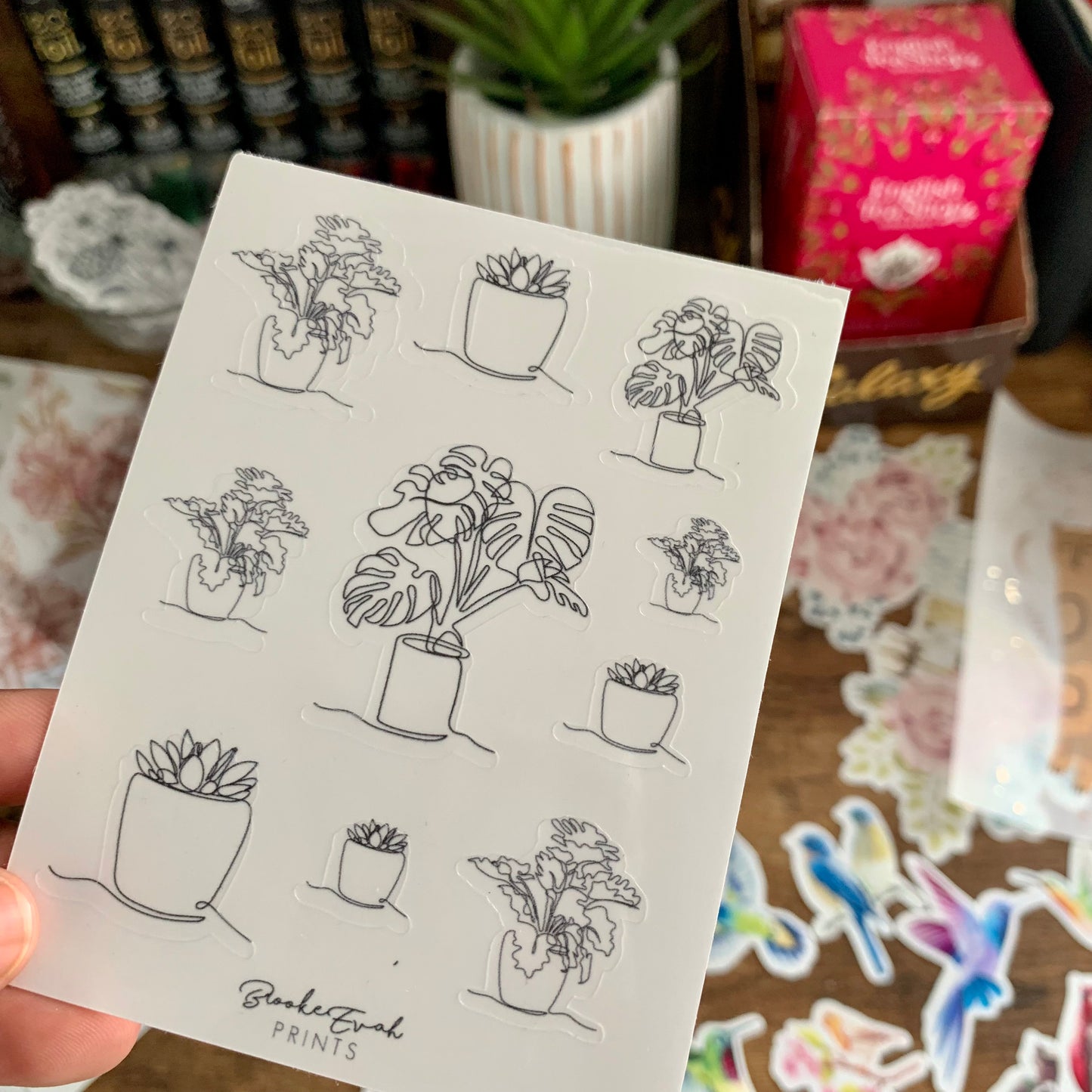 Minimal Line Art Plant Stickers - Clear/ Transparent